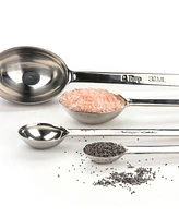 Rsvp International Endurance 18/8 Stainless Steel 4 Piece Long Handle Measuring Spoon