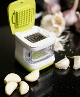 Rsvp International 5 Piece Plastic and Stainless Steel 2.8x2.8" Garlic Cube