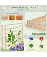 Costway Raised Garden Bed with 3 Trellises with Divided Compartments for Flowers