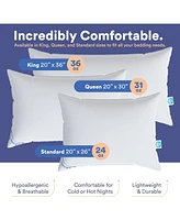 Continental Bedding Luxury Down Pillows Standard Size Pack of 1 - 550FP Firm