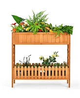 Gymax 2-Tier Raised Garden Bed Elevated Wood Planter Box for Vegetable Flower Herb