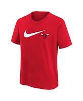 Nike Big Boys and Girls Chicago Bulls Swoosh T-Shirt