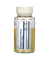 Solaray Panthothenic Acid 250 mg