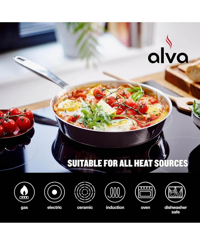 Alva Maestro