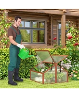 Double Box Garden Wooden Greenhouse