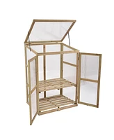 30 x 22 x 43 Inch Garden Portable Wooden Greenhouse