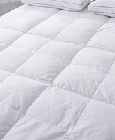 Royal Velvet 5" Feather Bed with Cotton Cover