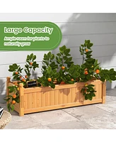 Wooden Rectangular Garden Bed with Drainage System