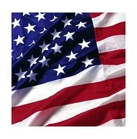 Yescom 10pcs 3'x5' Ft American Flag Us Usa Star Stripes Grommet Fit Flagpole Wholesale