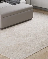 Km Home Castille CSL016 4'x6' Area Rug