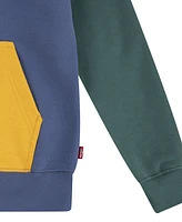 Levi's Big Boys Colorblocked Pullover Hoodie