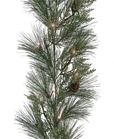 National Tree Company Hgtv Home Collection Pre-Lit Black Tie Cedar Garland 9 ft.