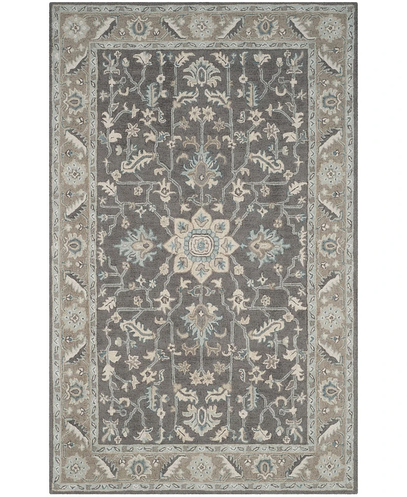 Safavieh Blossom Ii BLM217 5'x8' Area Rug