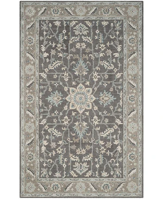 Safavieh Blossom Ii BLM217 5'x8' Area Rug