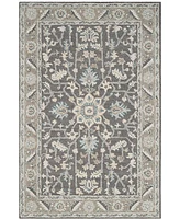 Safavieh Blossom Ii BLM217 2'3x4' Area Rug