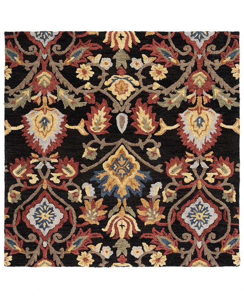 Safavieh Blossom Ii BLM402 6'x6' Square Area Rug