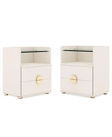 Tribesigns Modern Nightstands Set of 2, 2