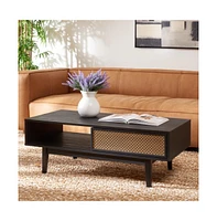 Safavieh Ceu 2 Door Coffee Table