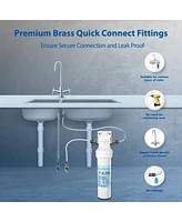 Apec Water Systems Premium Quality High Capacity Under-Counter Water Filtration System