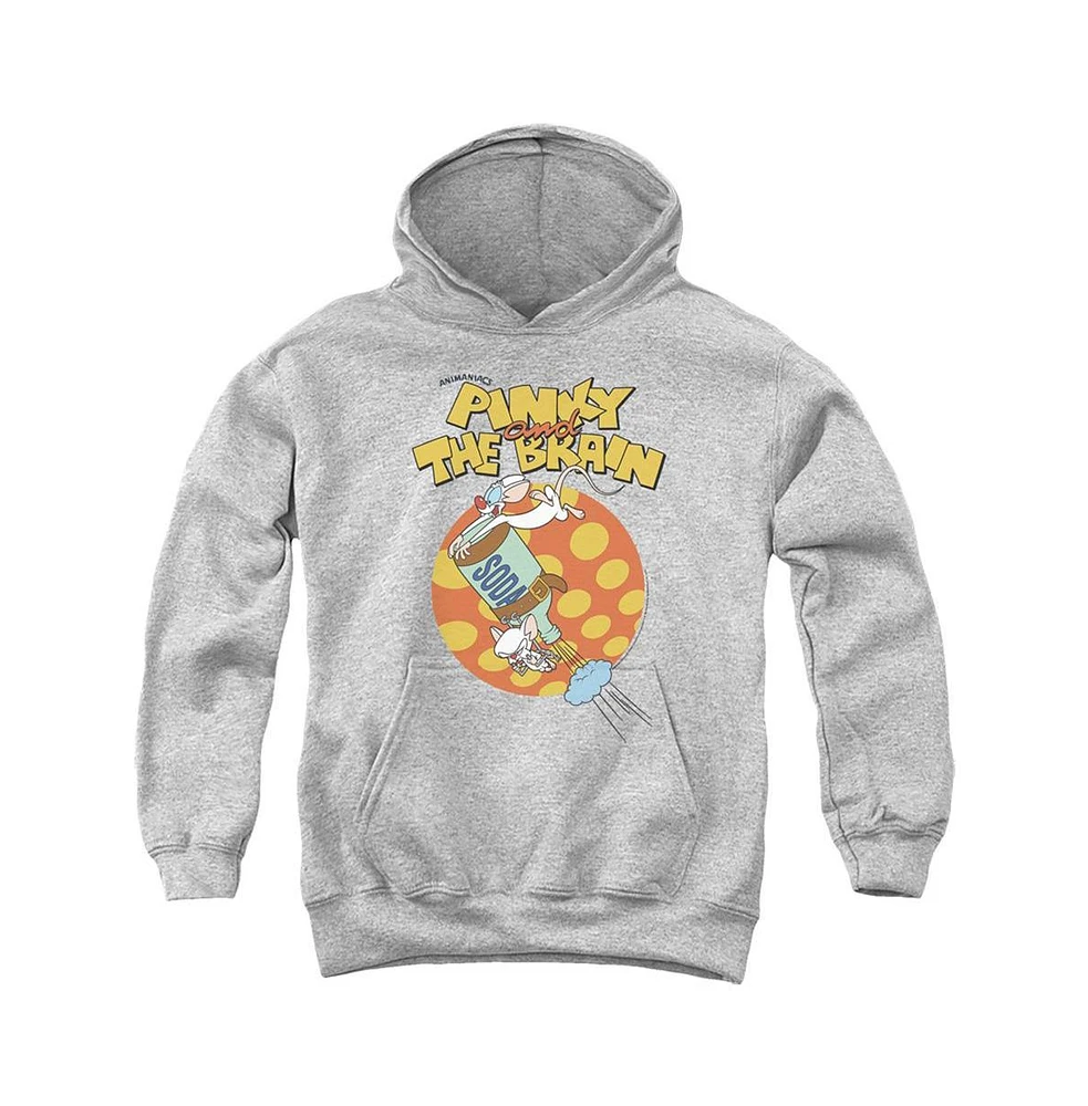 Pinky And The Brain Boys Youth Soda Pull Over Hoodie / Hooded Sweatshirt