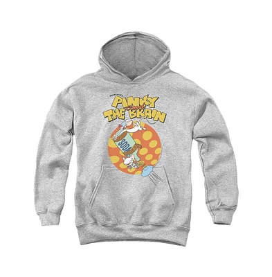 Pinky And The Brain Boys Youth Soda Pull Over Hoodie / Hooded Sweatshirt