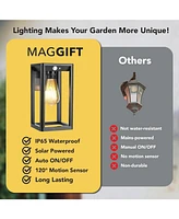 Maggift Solar Lantern Outdoor Waterproof 2-Pack