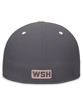 Nike Men's Graphite/Natural Washington Nationals City Connect True Fitted Hat