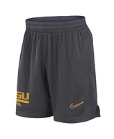 Nike Men's Anthracite Lsu Tigers 2024 Sideline Mesh Shorts