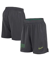 Nike Men's Anthracite Oregon Ducks 2024 Sideline Mesh Shorts