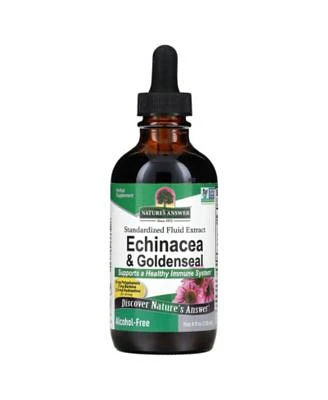 Natures Answer Echinacea Goldenseal Alcohol Free 4 Fl Oz 120 Ml