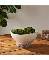 Napa Home & Garden Sea Breeze Decorative Bowl