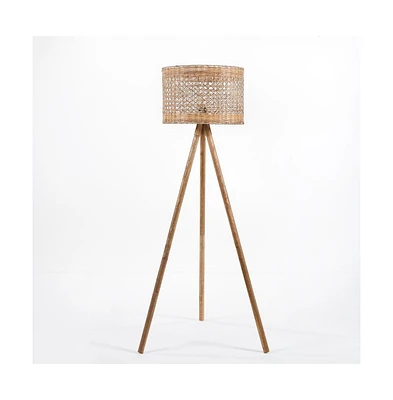 Safavieh Akroyd Floor Lamp