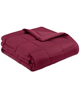 Premier Comfort Down Alternative Blanket, Twin