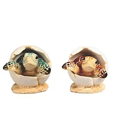 Fc Design 3"H Brown and Blue Sea Turtle in Egg 2 Pc Set Figurine Decoration Home Decor Perfect Gift for House Warming, Holidays and Birthdays