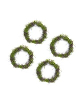 Moss Leaf Twig Wreath for Natural Home Decor (Set of 4)