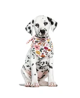 Luvable Friends Dog Reversible Pet Dog and Cat Bandana Bibs 2pk, Botanical Leopard, One Size