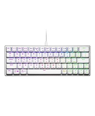 Coolermaster Cooler Master SK620 60% Silver/White Mechanical Low Profile Gaming Keyboard with Tactile Brown Switches, Rgb, and Usb-c