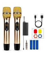 5 Core Wireless Microphones Pair Uhf Professional Handheld Microfonos Inalambricos Dual Cordless Mic System for Karaoke Singing Wedding Dj Party Speec