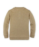 Hope & Henry Baby Boys Organic Cotton Long Sleeve Henley Pullover Sweater