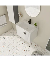 Wall-Mounted Vanity with Ceramic Sink and Soft-Close Doors