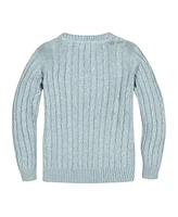 Hope & Henry Baby Boys Long Sleeve Fine Gauge Cable V-Neck Sweater