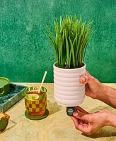 Lifelines Grass Plant Diffuser