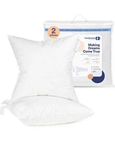 Continental Bedding Set Of 2 Luxury Throw Pillow Insert Down Feather