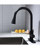 Streamdale Furniture Kitchen Faucet With Pull Out Sprayer