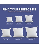 Continental Bedding 18x18 Set of 2 Luxury Throw Pillow Insert 10% down 90% Feather