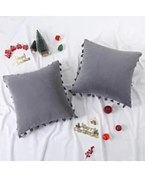 Caromio 2Pcs Tassels Velvet Decorative Throw Pillow Covers 18" x