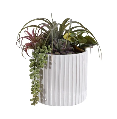 Safavieh Faux Mixed Succulent Potted Plant