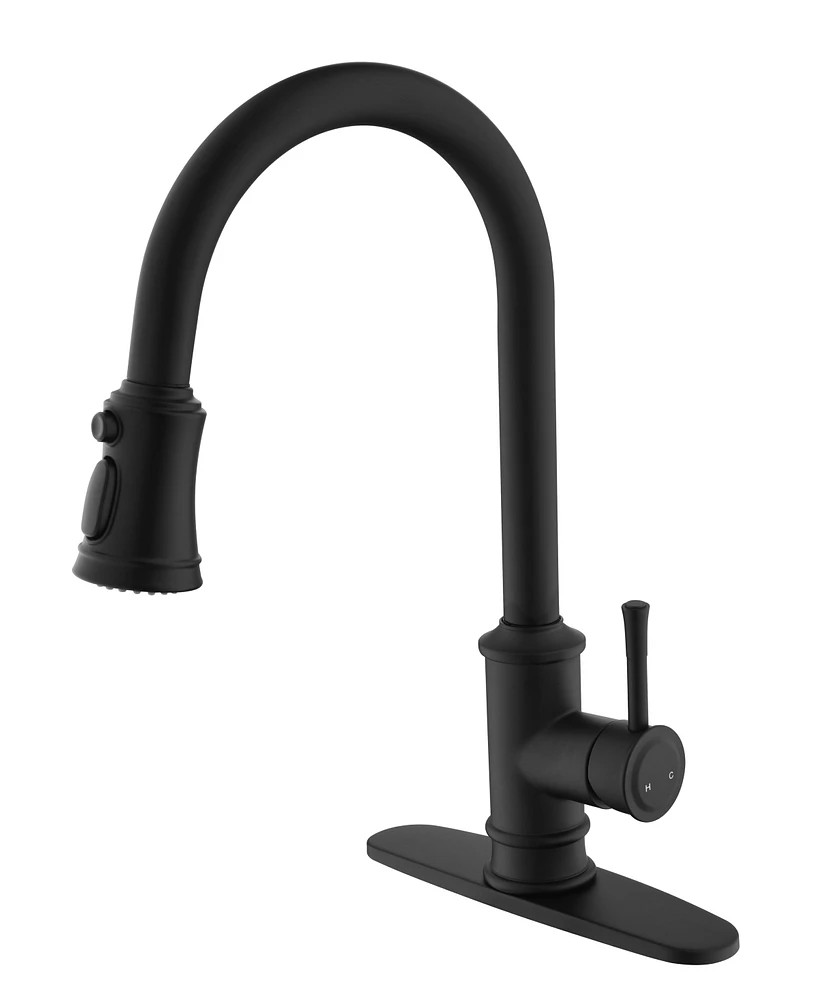 Simplie Fun Brushed Nickel Pull Out Kitchen Faucet with Pull Down Sprayer