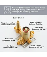 Boyel Living 1-Spray Patterns with 2.5 Gpm in. Ceiling Mount Dual Shower Heads with Pressure Balance Valve