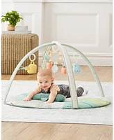 Skip Hop Garden Oasis Activity Gym